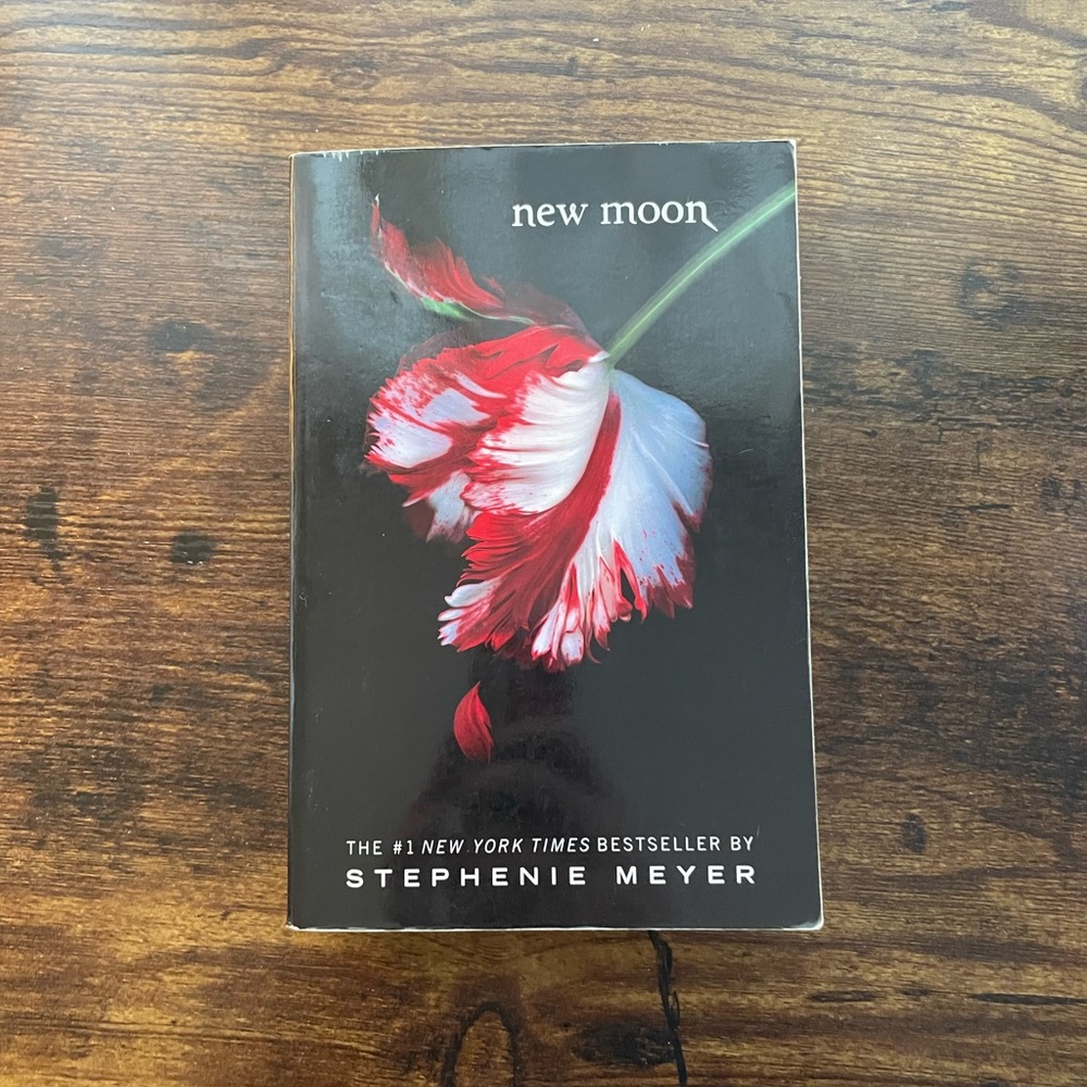 Twilight: New Moon book, new condition